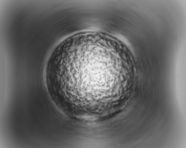 X0000089761480200707051824