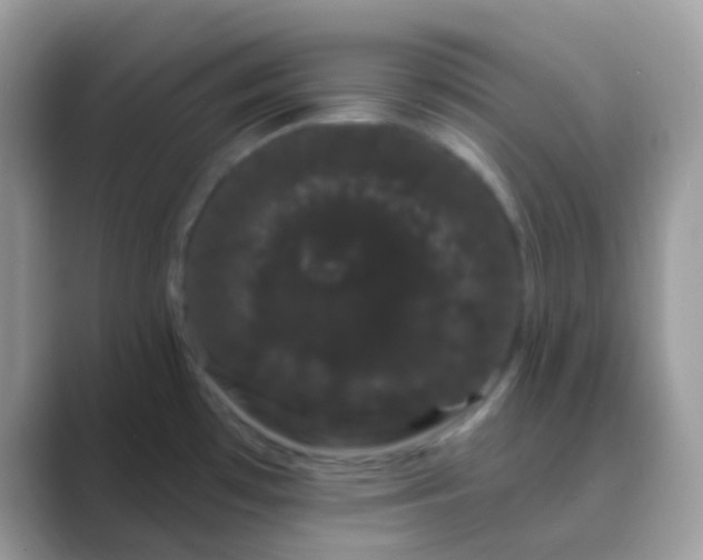 X0000089761481200707051824