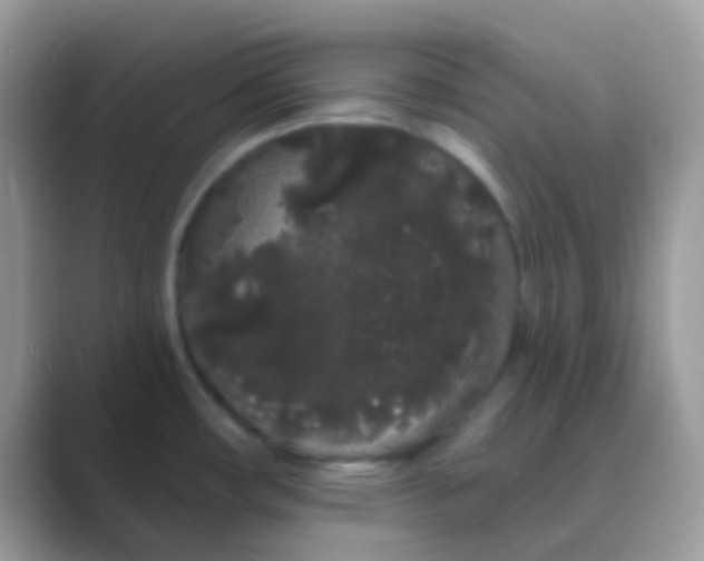 X0000089761482200707051824