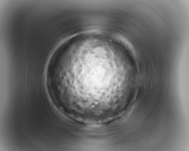 X0000089761483200707051824