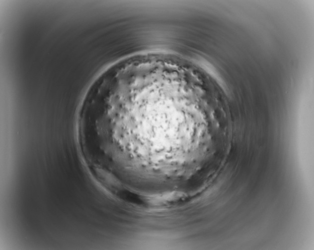 X0000089761484200707051824