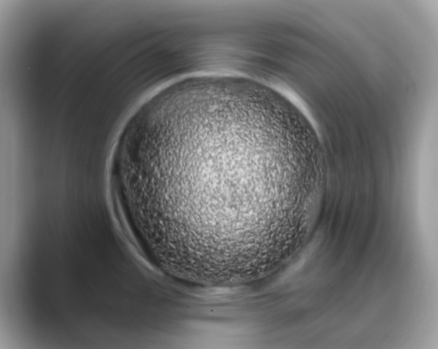 X0000089761485200707051824