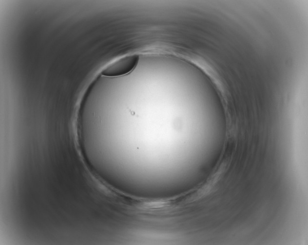 X0000089761486200707051824