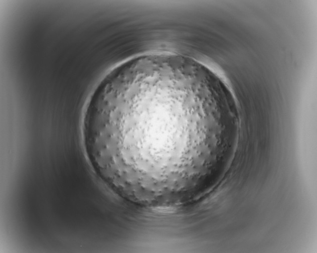 X0000089761488200707051824