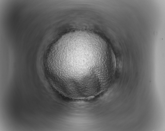 X0000089761489200707051824