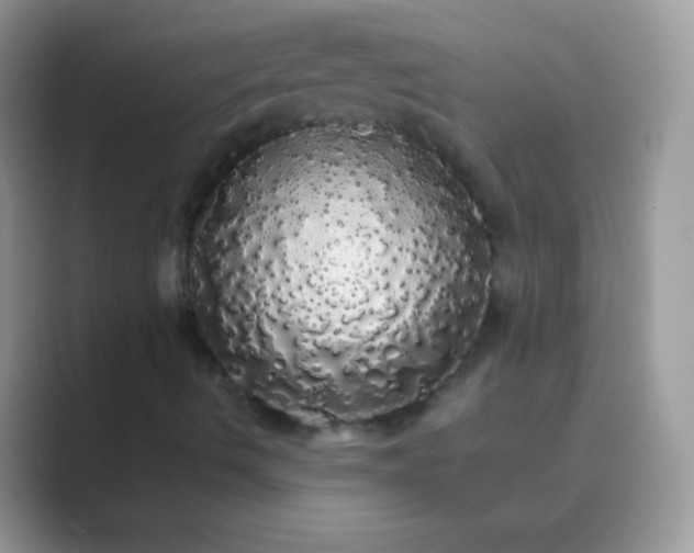 X0000089761490200707051824