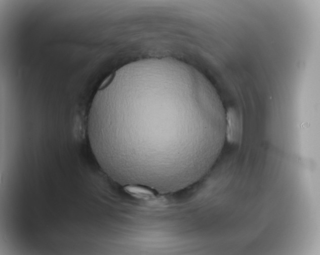 X0000089761491200707051824