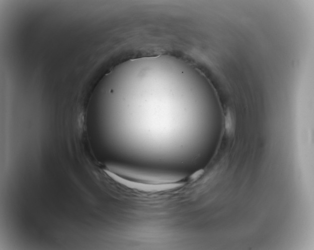 X0000089761492200707051824