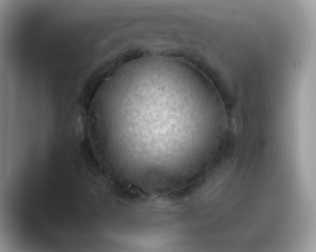 X0000089761493200707051824