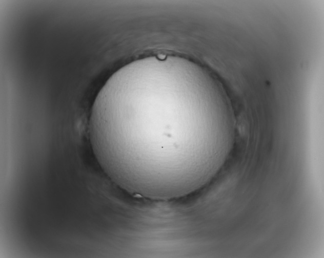 X0000089761495200707051824