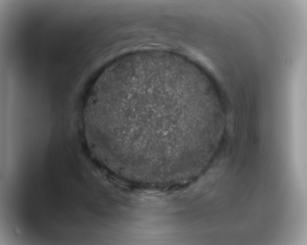 X0000089761496200707051824