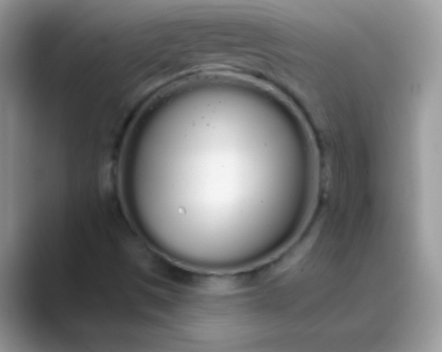 X0000089761497200707051824