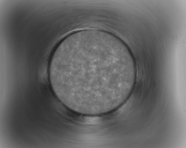 X0000089761498200707051824