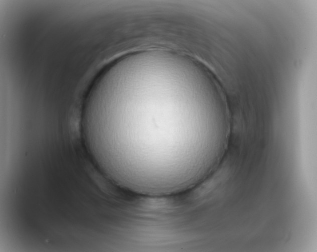 X0000089761499200707051824