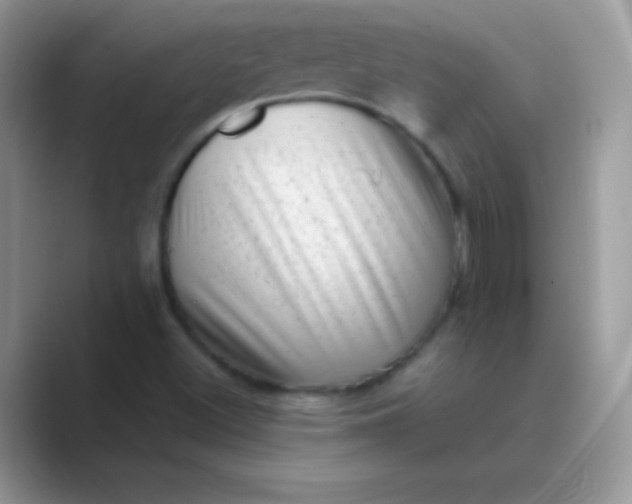 X0000089761500200707051824