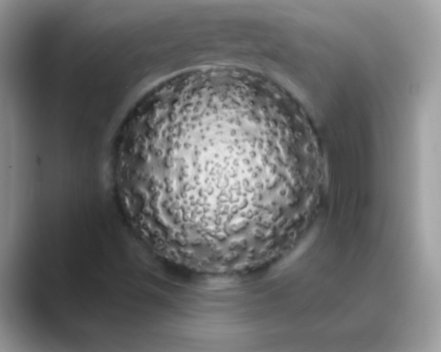 X0000089761501200707051824