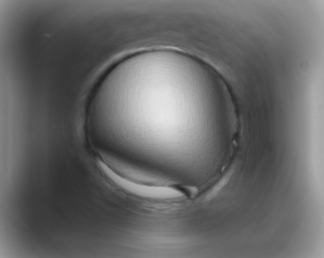 X0000089761502200707051824