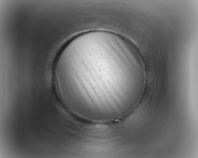 X0000089761503200707051824