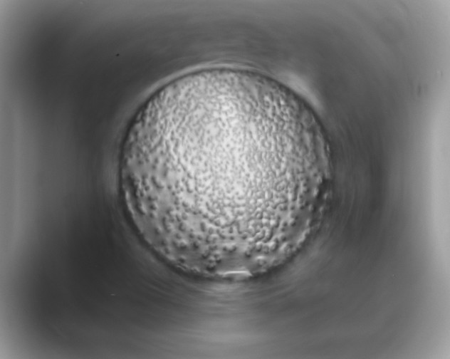 X0000089761504200707051824