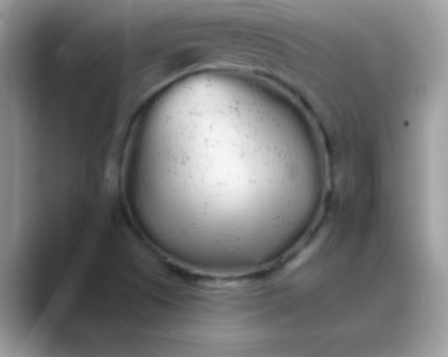 X0000089761505200707051824