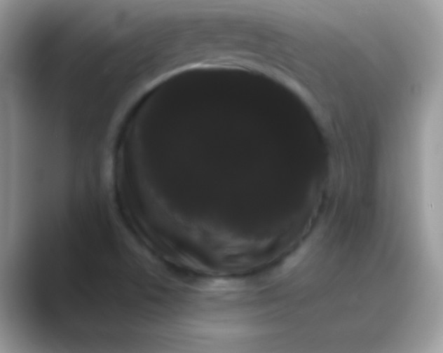 X0000089761506200707051824