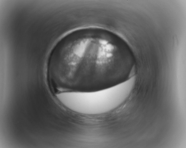 X0000089761508200707051824