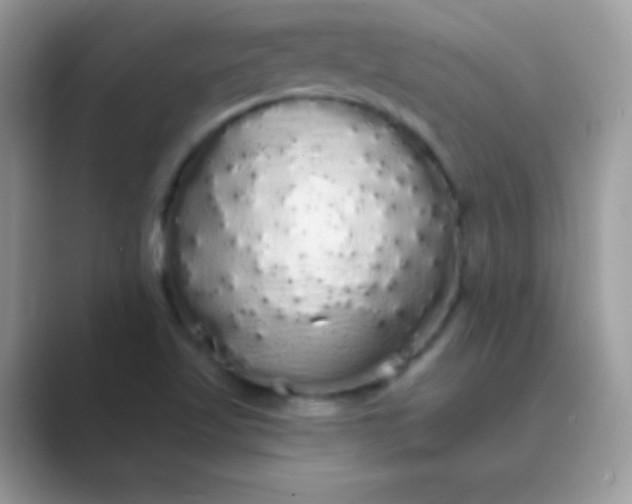 X0000089761509200707051824