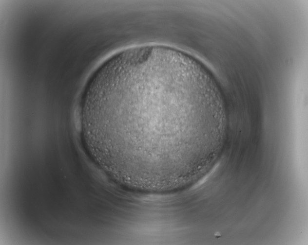 X0000089761510200707051824