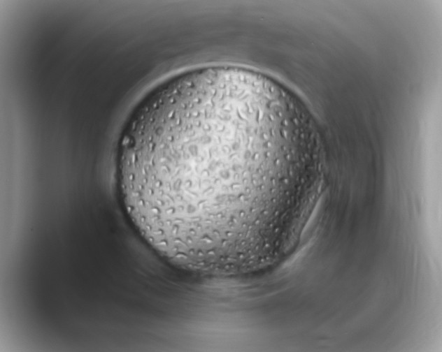 X0000089761511200707051824