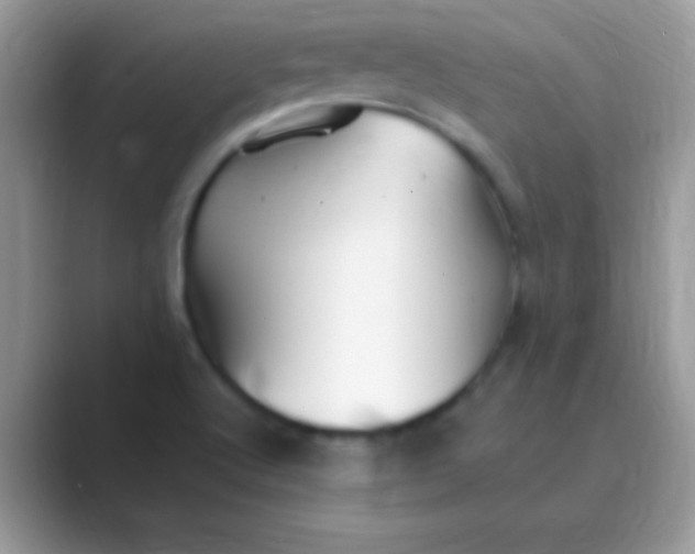 X0000089761512200707051824