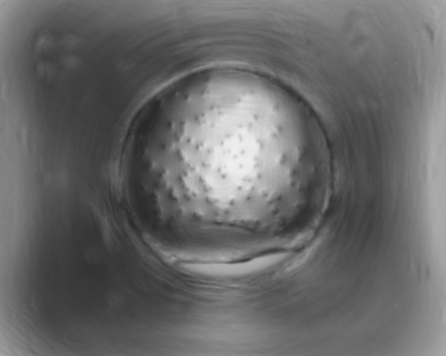 X0000089761513200707051824