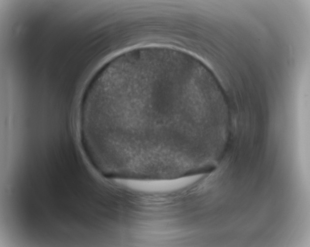 X0000089761515200707051824