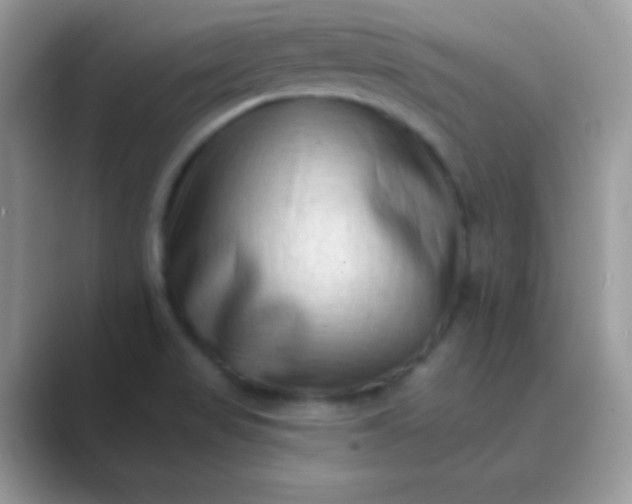 X0000089761517200707051824