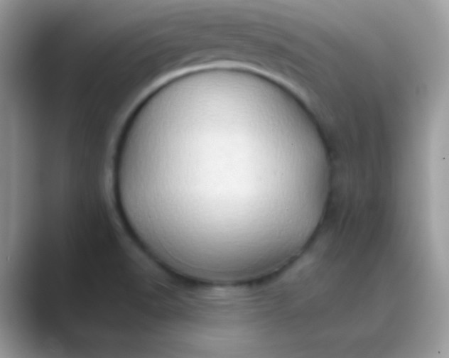 X0000089761518200707051824