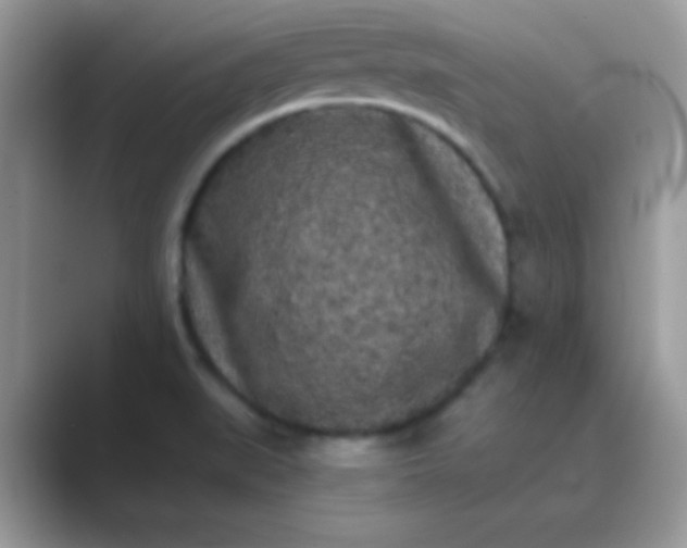 X0000089761519200707051824