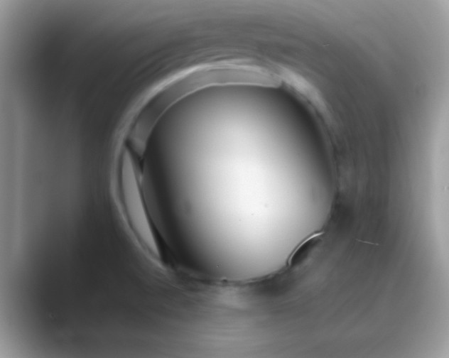 X0000089761520200707051824