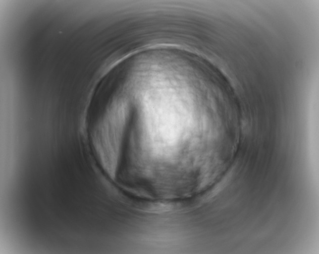 X0000089761521200707051824