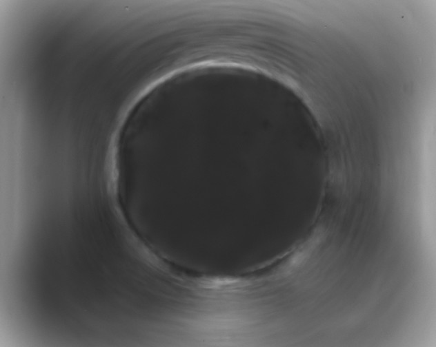 X0000089761522200707051824