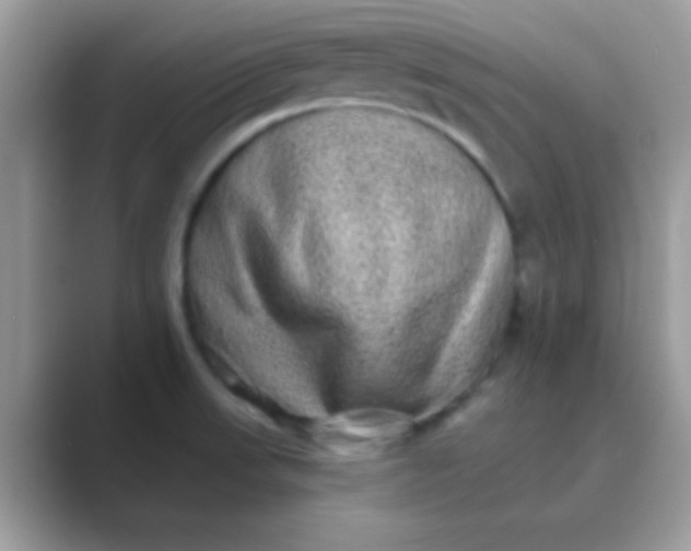 X0000089761523200707051824