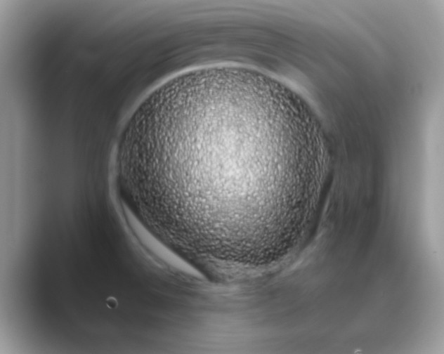 X0000089761524200707051824