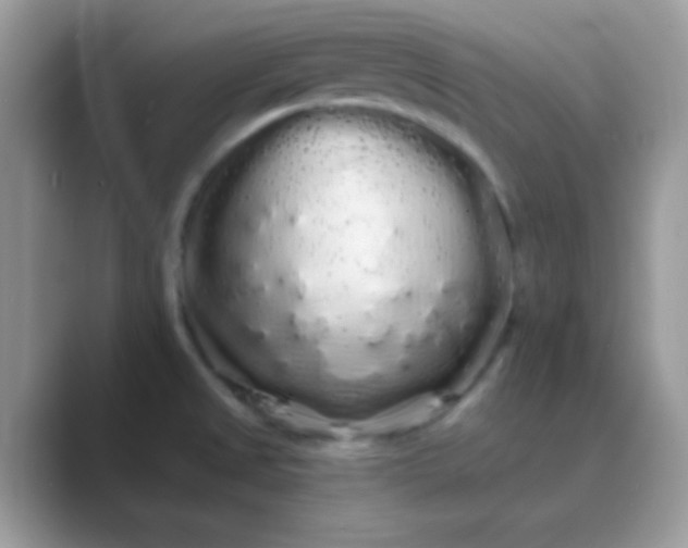 X0000089761525200707051824