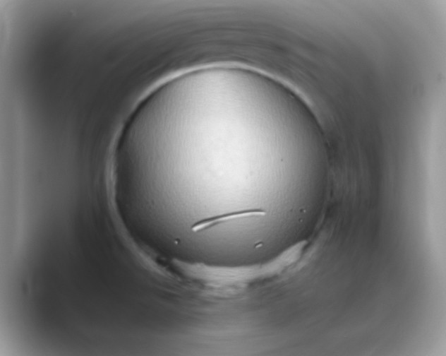 X0000089761526200707051824