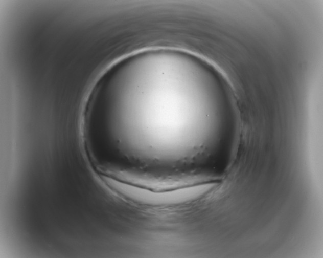 X0000089761527200707051824