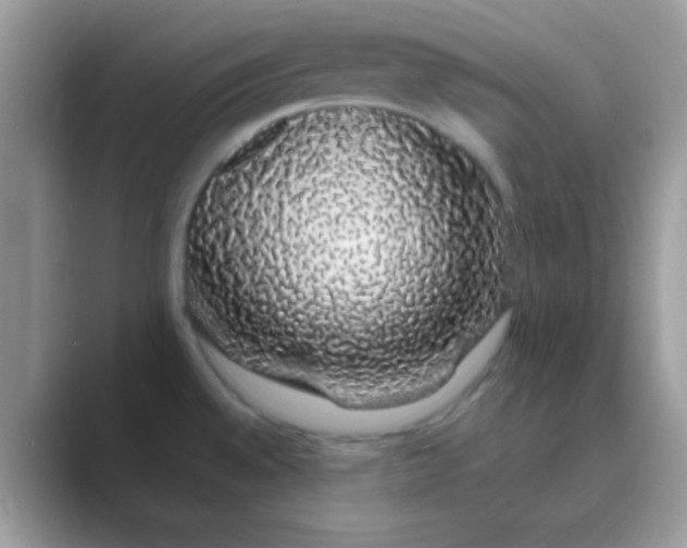 X0000089761528200707051824