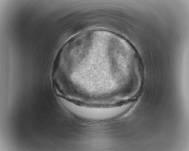 X0000089761529200707051824