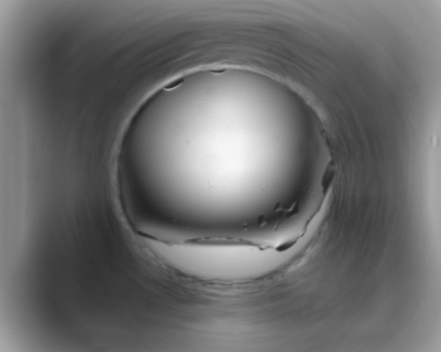 X0000089761530200707051824