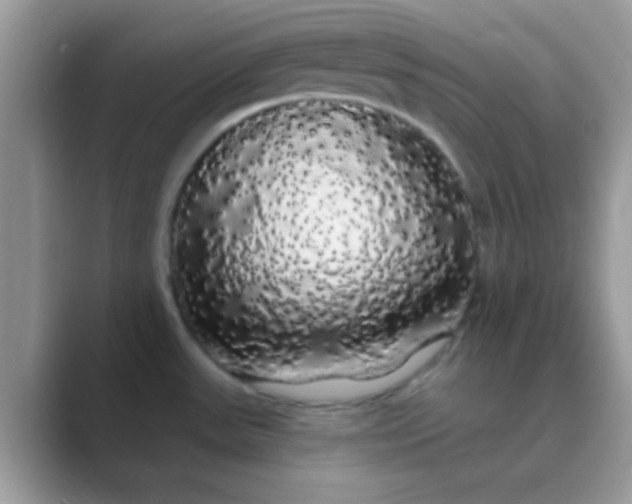 X0000089761531200707051824