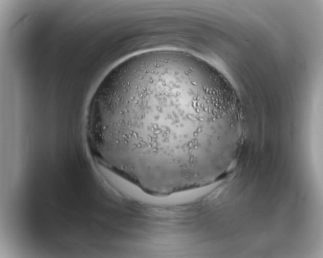 X0000089761532200707051824