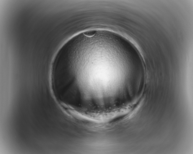 X0000089761533200707051824