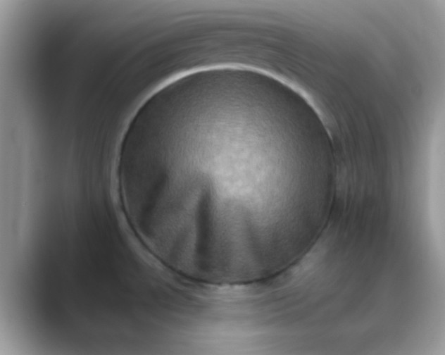 X0000089761534200707051824